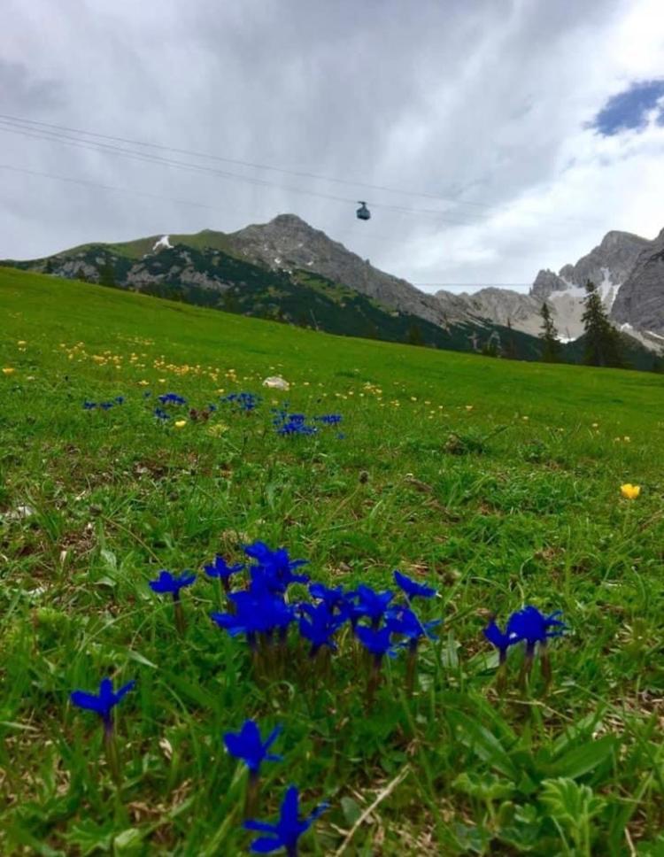 Relax Seefeld Apartman Seefeld in Tirol Eksteriør bilde